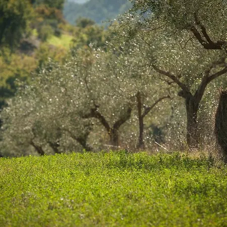 Farm stay La Del Tempo