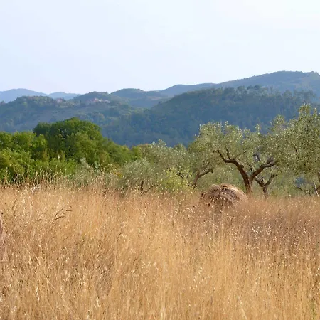 Farm stay La Del Tempo
