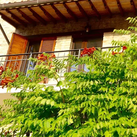 Farm stay La Del Tempo *